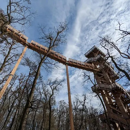 In With Parking Bad Camberg